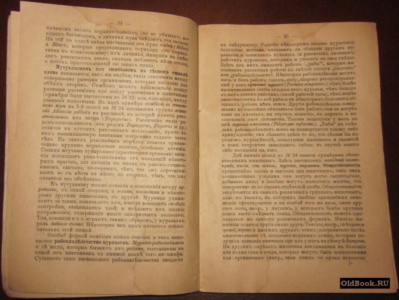 Книпович Н.М. Путеводитель по Зоологическому музею Российской Академии наук.