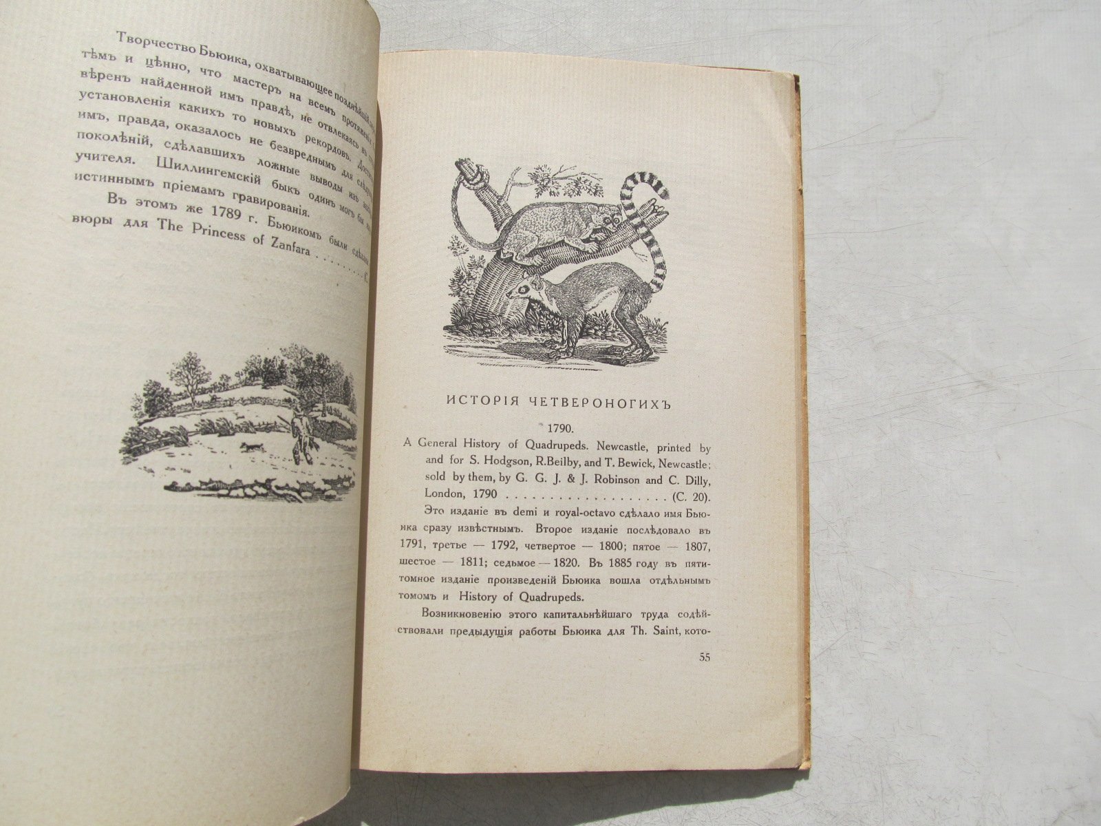 Масютин В. Томас Бьюик, 1753—1828