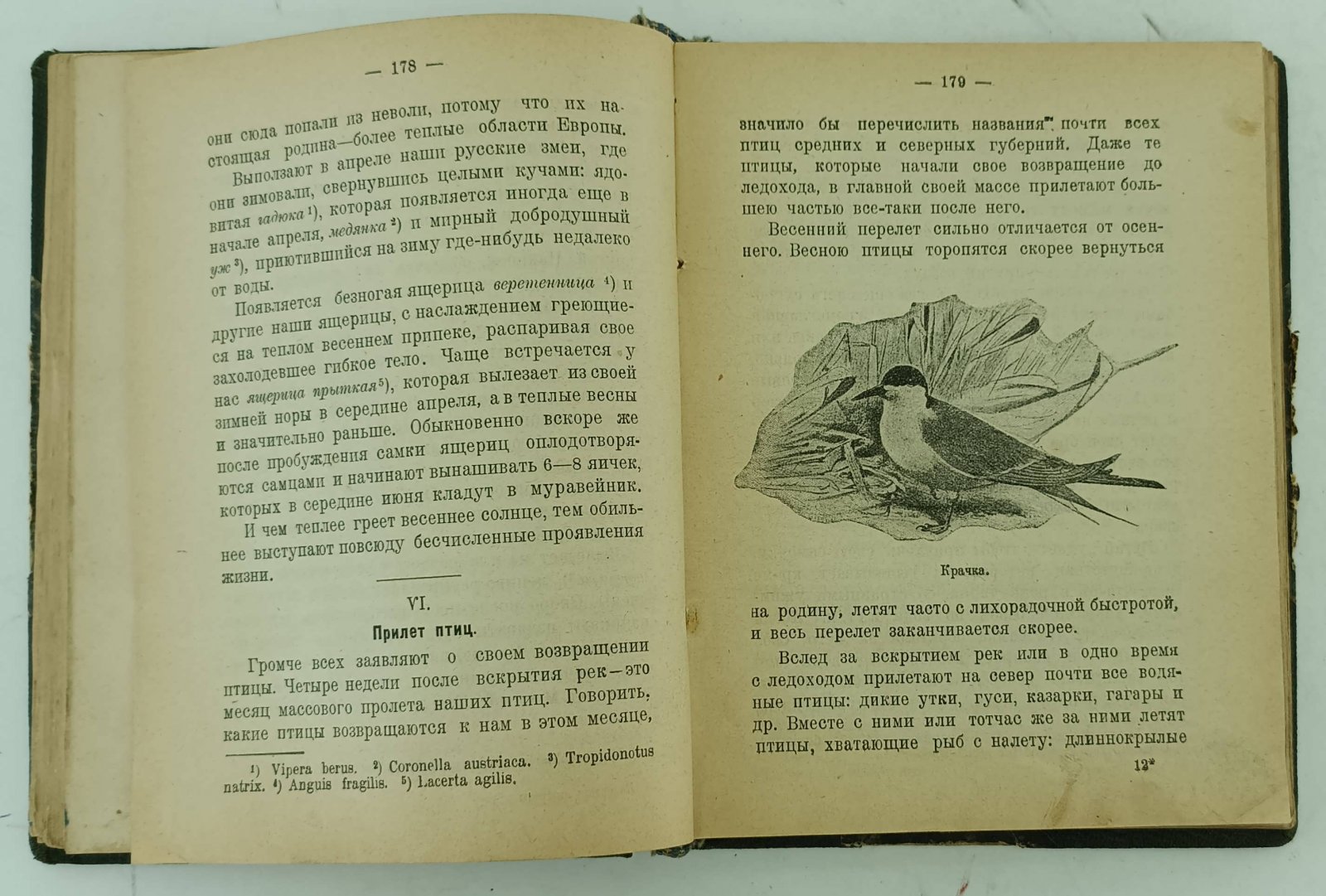 Покровский С.В. Календарь природы.