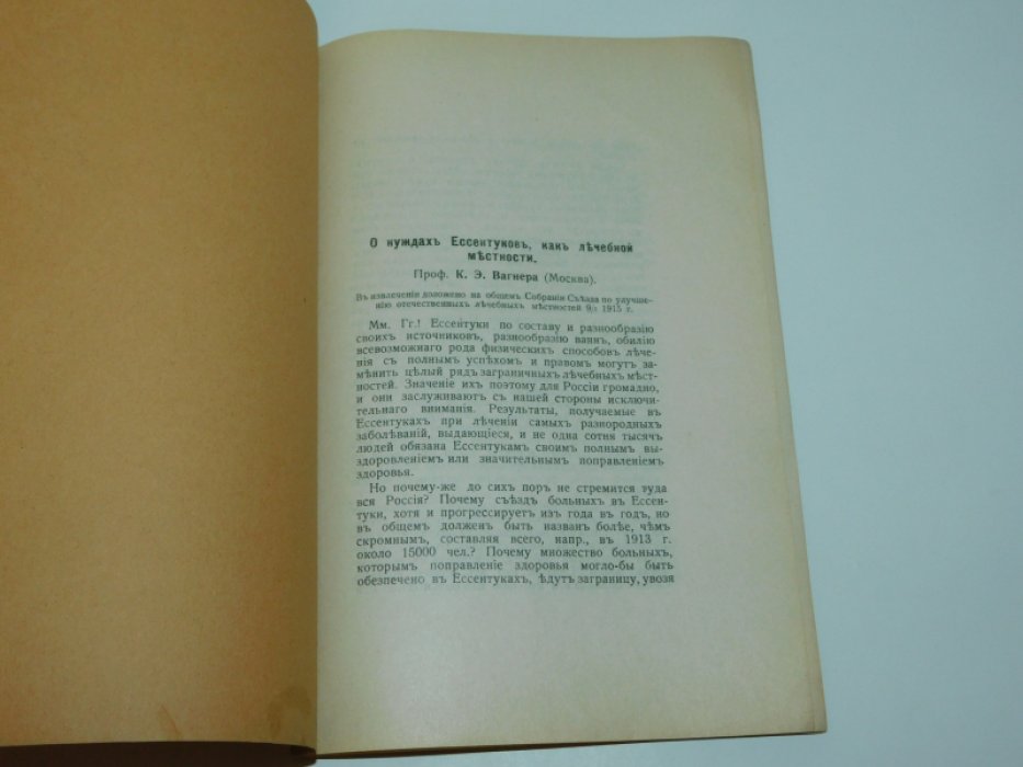 Вагнер К.Э., проф. О нуждах Ессентуков, как лечебной местности