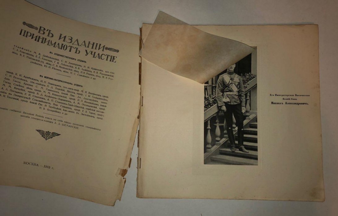Великая война в образах и картинах 1914-1915. Выпуск 8