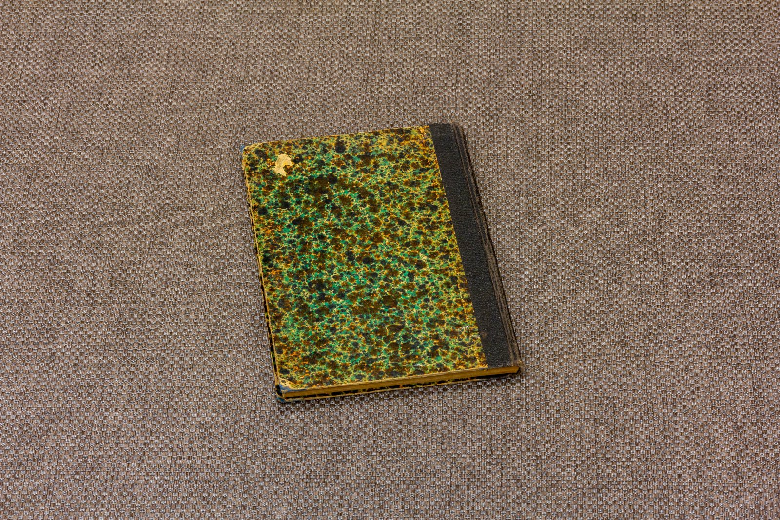 Лассаль, Фер. Дневник.