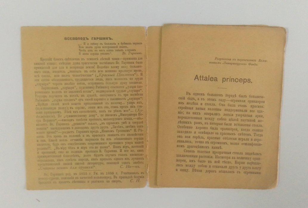 Гаршин, Вс. Бразильская пальма.