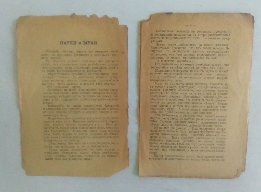 Либкнехт, В. Пауки и мухи.
