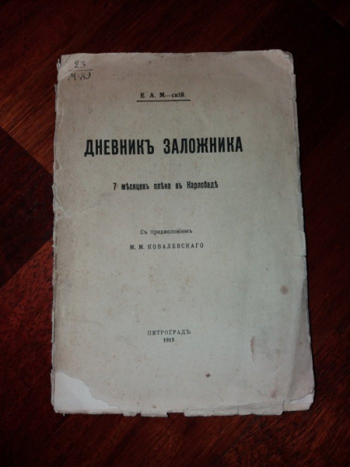 Могиленский Е.А. Дневник заложника : 7 месяцев плена в Карлсбаде.