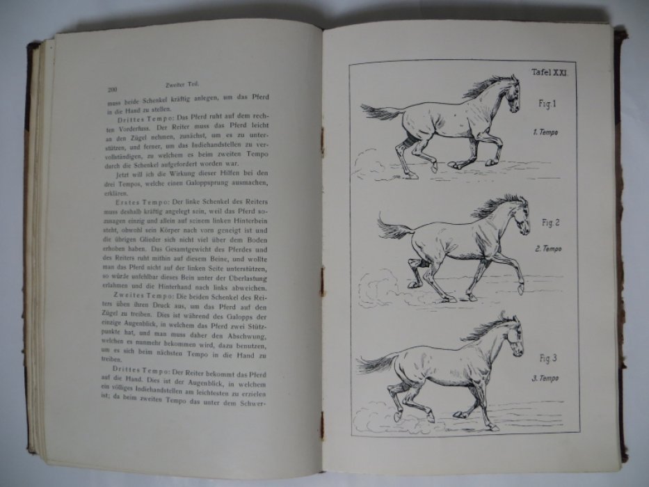 James Fillis /Джеймс Филлис/. Grundsatze der Dressur und Reitkunst /Принципы выездки и верховой езды/.