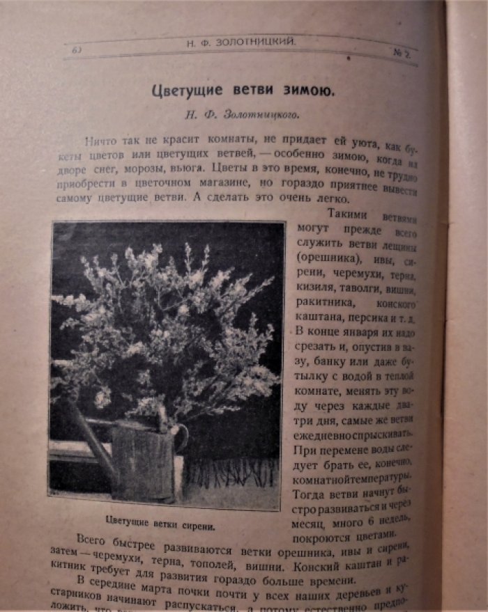 В мастерской природы. №2 за 1919 год
