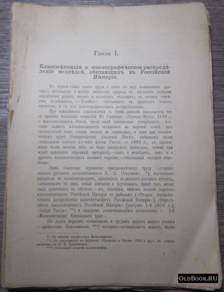 Мельницкий Н.А. Медведь и охота на него.