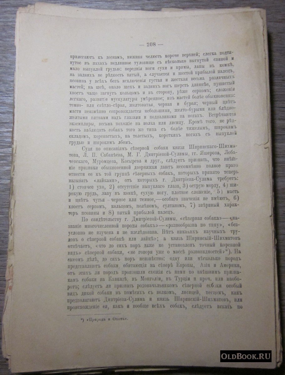 Мельницкий Н.А. Медведь и охота на него.