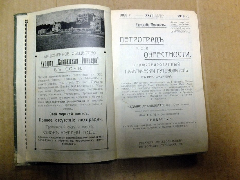 Москвич Григорий. Петроград и его окрестности.