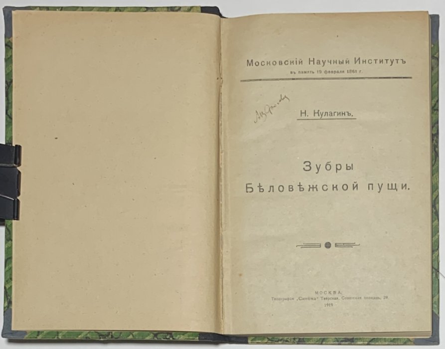 Кулагин Н.М. Зубры Беловежской пущи.