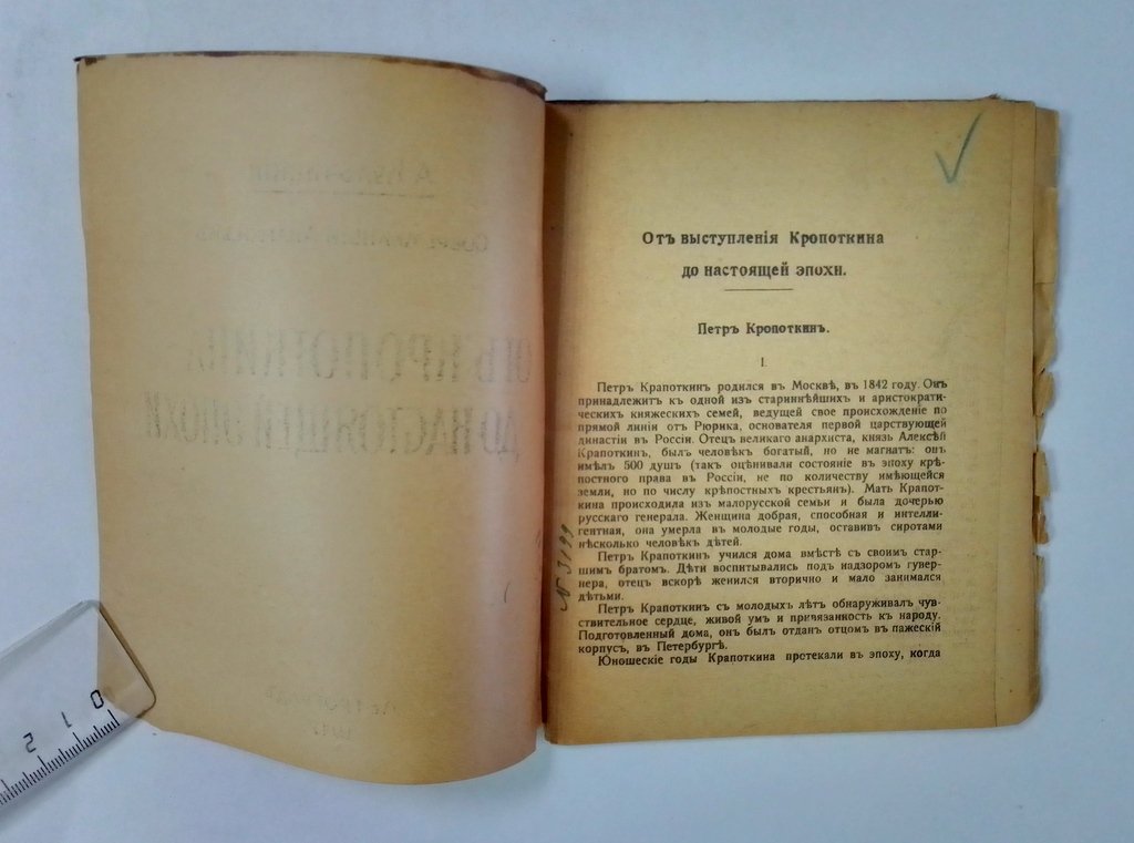 Кульчицкий, А. Современный анархизм.