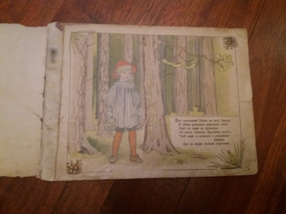 Бескова Э. Черничный дедка. 16 рисунков и текст Э.Бесковой