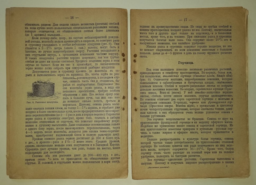 Будрин П. В. Масличные растения.