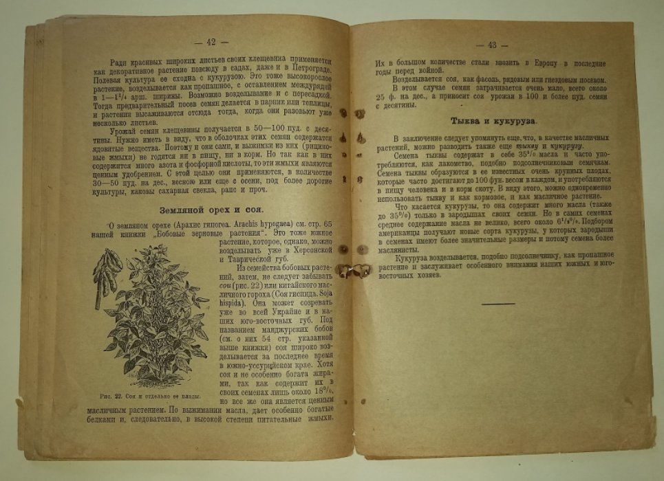 Будрин П. В. Масличные растения.
