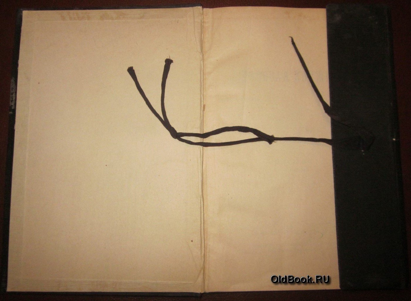 Полевая книжка. № 3990.
