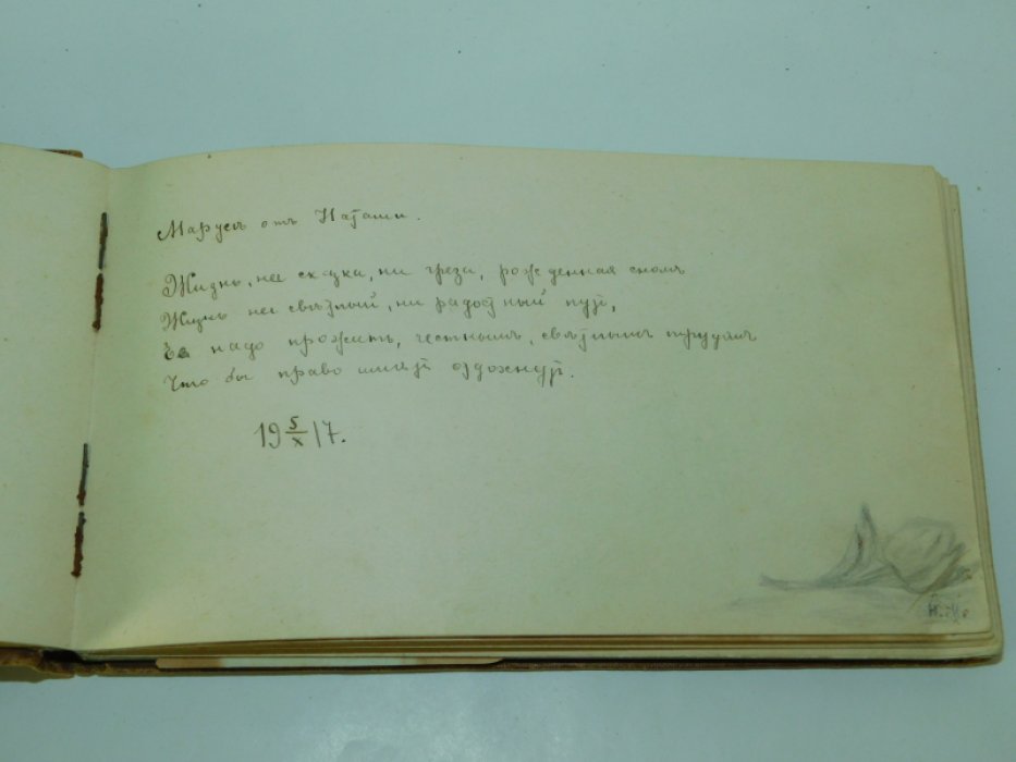 Девичий альбом.