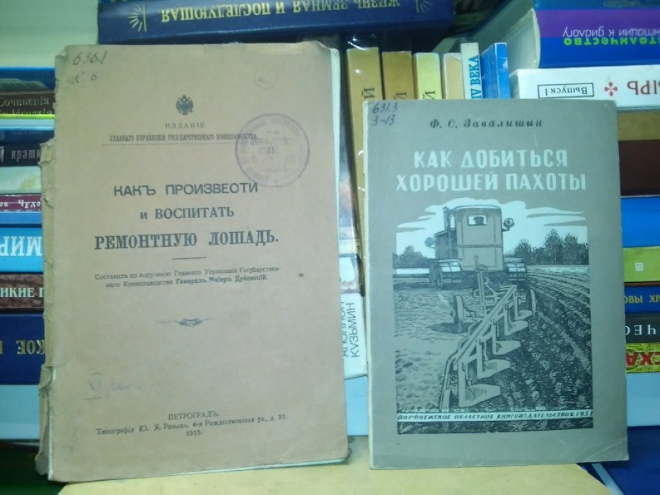 Как произвести и воспитать ремонтную лошадь.