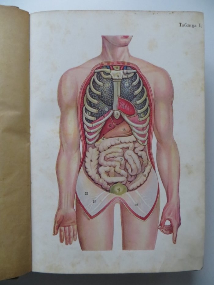 Школа здоровья (домашний лечебник). В 2-х частях.