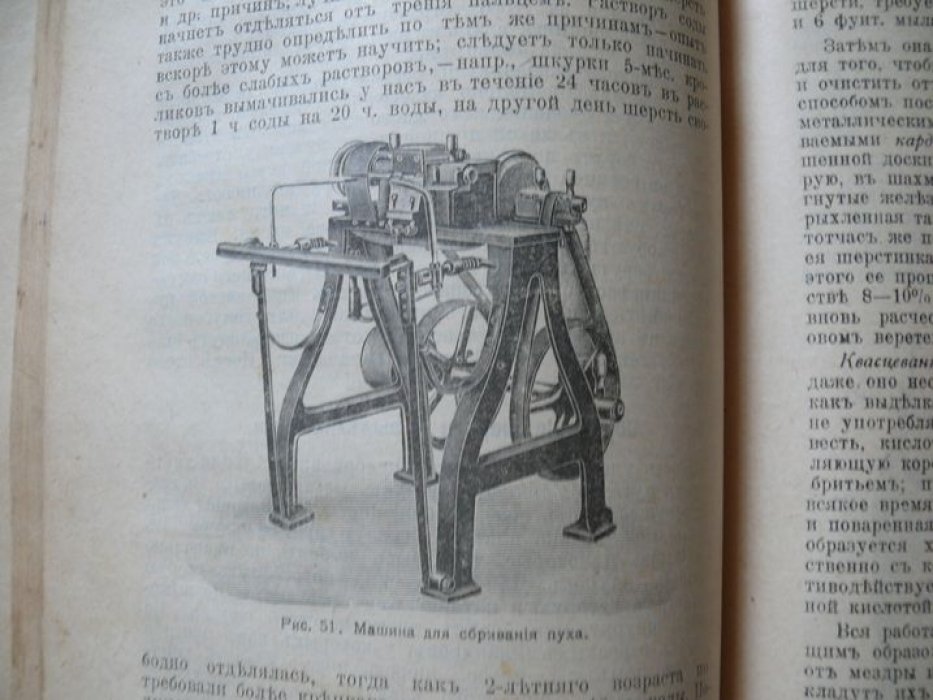 Голубицкий С. Е. Кролики. В двух частях. Часть 1 и 2.