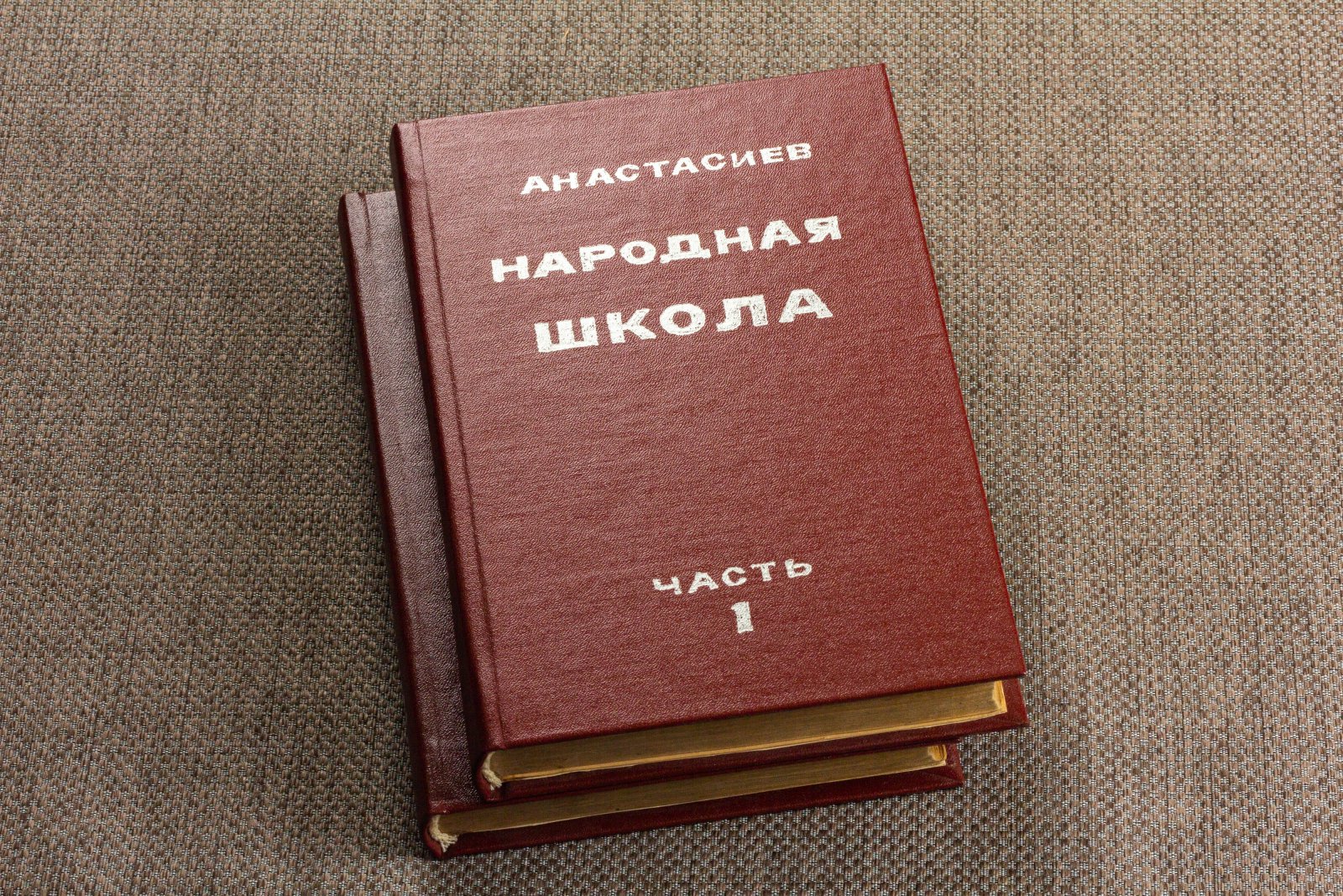 Анастасиев, Ан. Народная школа.