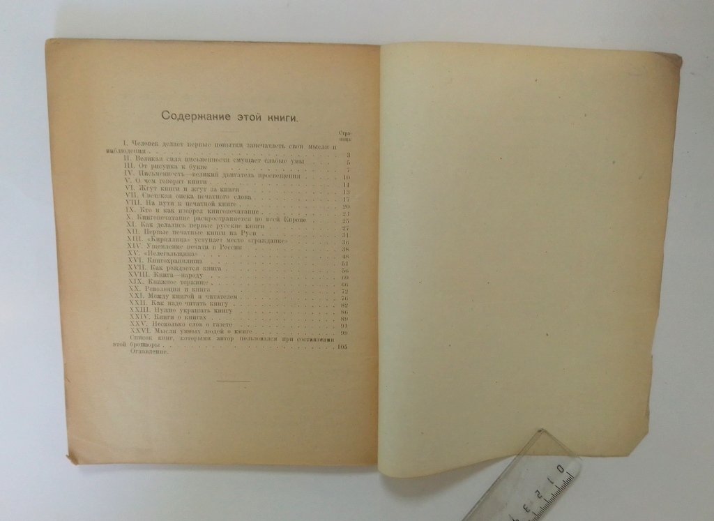 Вержбицкий, Ник. О книге.