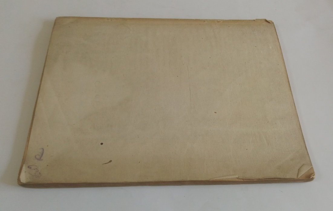 Вержбицкий, Ник. О книге.