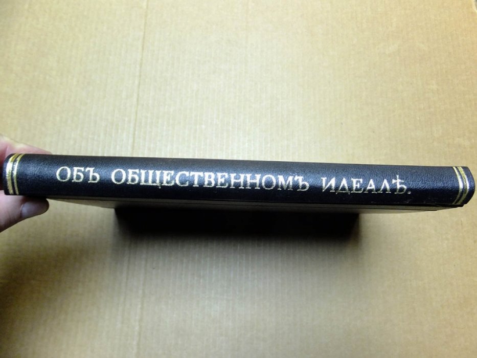 Новгородцев П. И. Об общественном идеале.