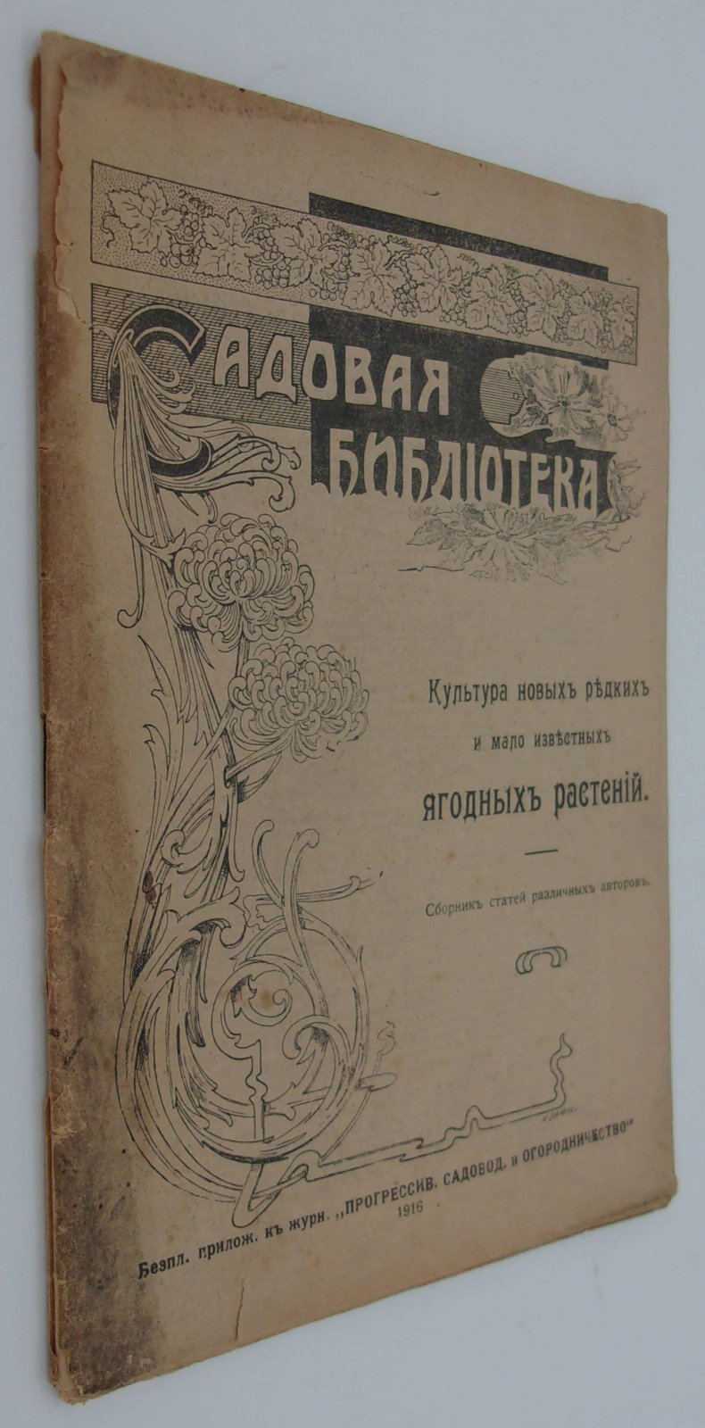 Культура новых редких и малоизвестных ягодных растений.