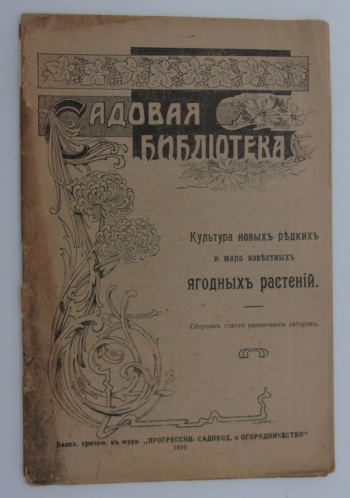 Культура новых редких и малоизвестных ягодных растений.