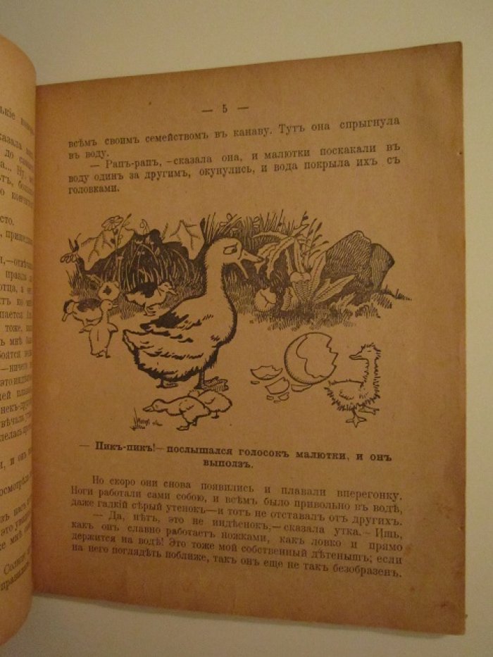 Сказки Андерсена. Гадкий утенок.