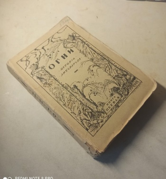 Огни. История. Литература. Книга первая.