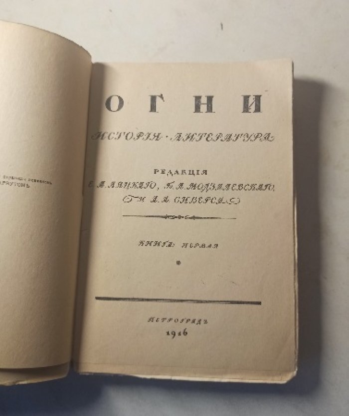 Огни. История. Литература. Книга первая.