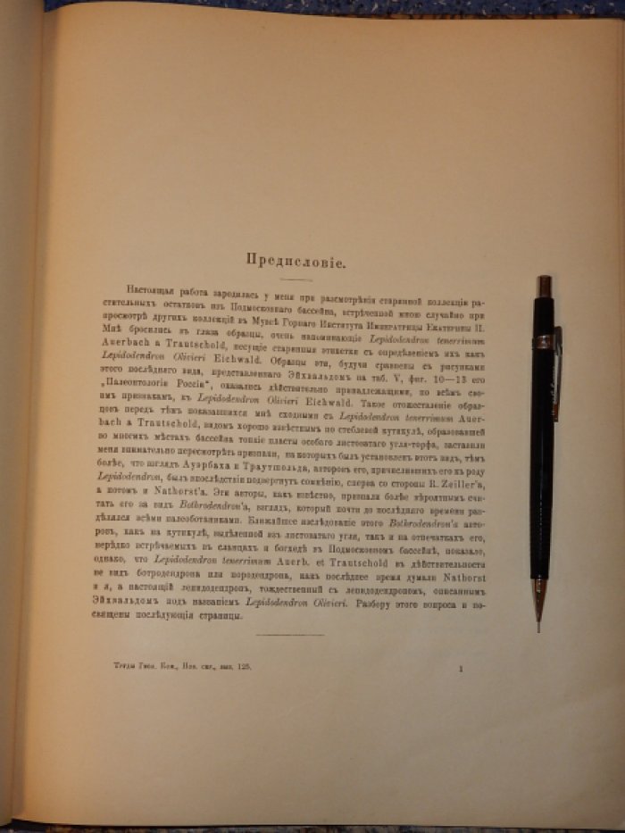 Залесский М.Д. О Lepidodendron olivieri eichw. и Lepidodendron tenerrimum A. & T.