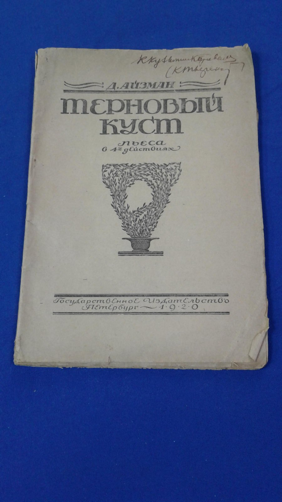 Айзман Д. Терновый куст.