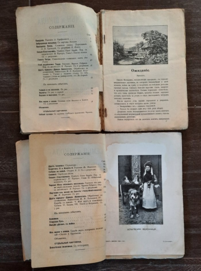 Семья и школа. Журнал. Годовой комплект за 1915 год.