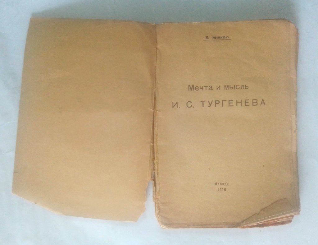 Гершензон, М. Мечта и мысль И.С.Тургенева.