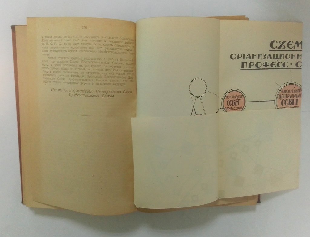 Отчет Всероссийского Центрального Совета Профессиональных Союзов на 1919 год.