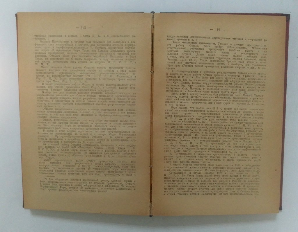 Отчет Всероссийского Центрального Совета Профессиональных Союзов на 1919 год.