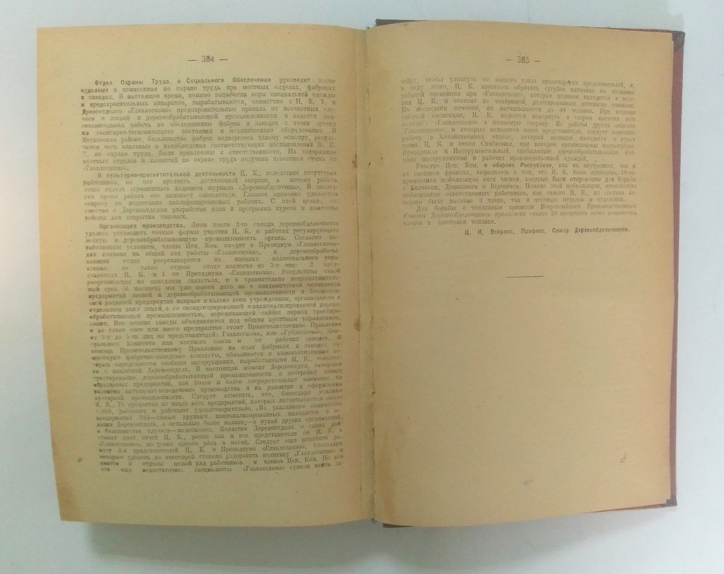 Отчет Всероссийского Центрального Совета Профессиональных Союзов на 1919 год.