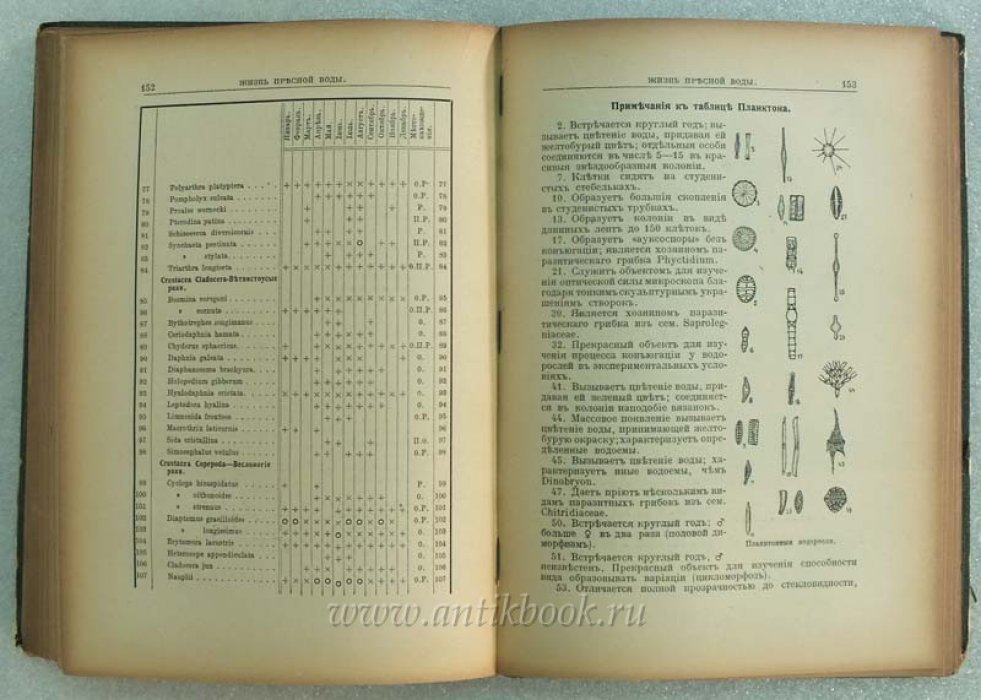 Календарь русской природы на 1916 год. Естественно-исторический справочник