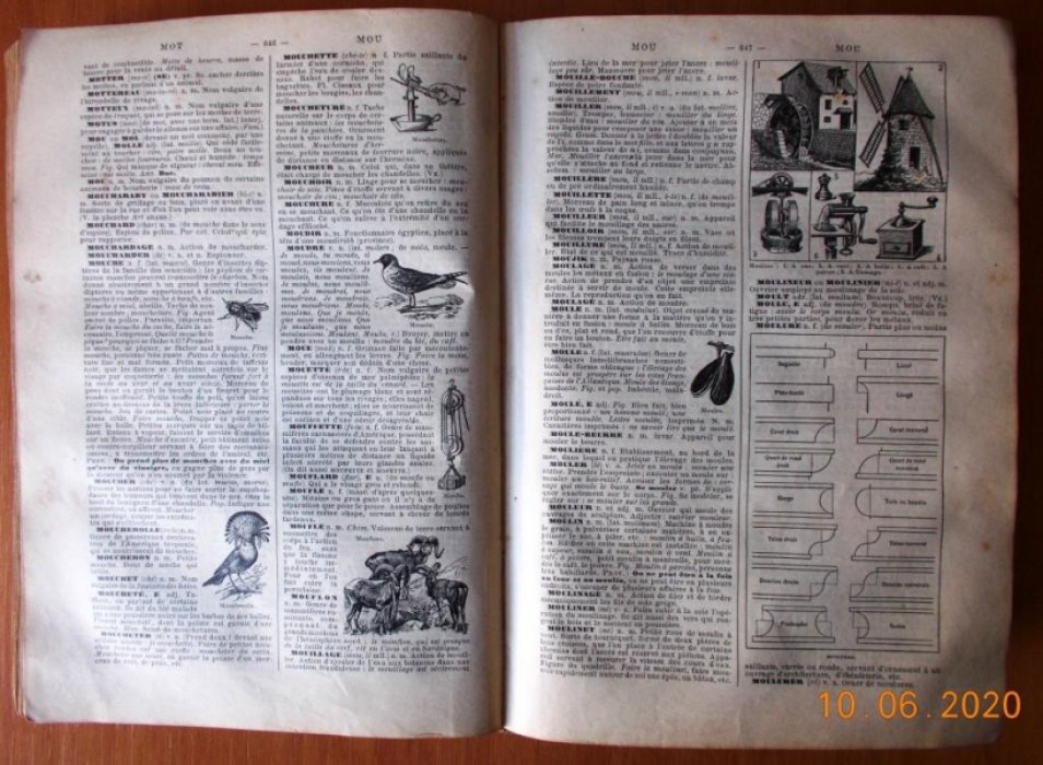 Petit Larousse Illustre.