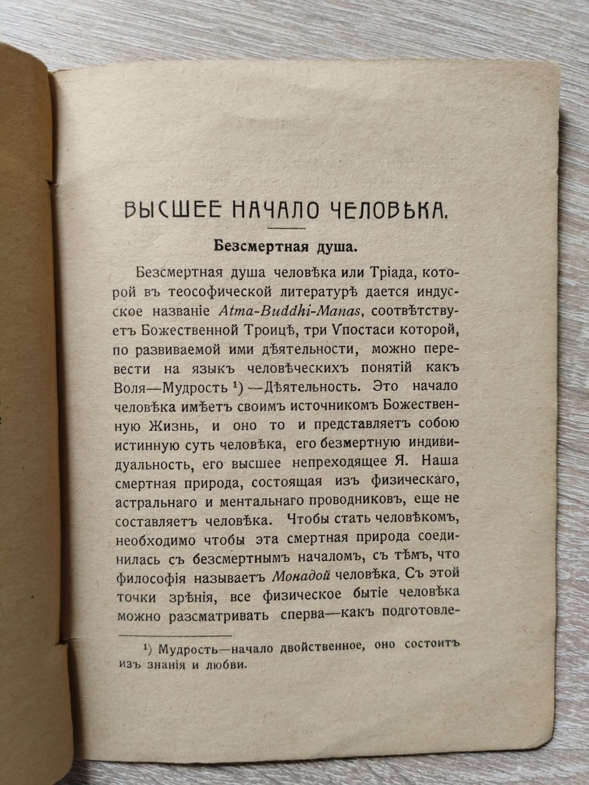 Е. П. [ Писарева Елена] Человек и его видимый и невидимый состав.