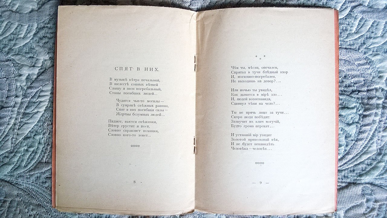 Ефремов С.Г. (Горемыка). Песни солдата.