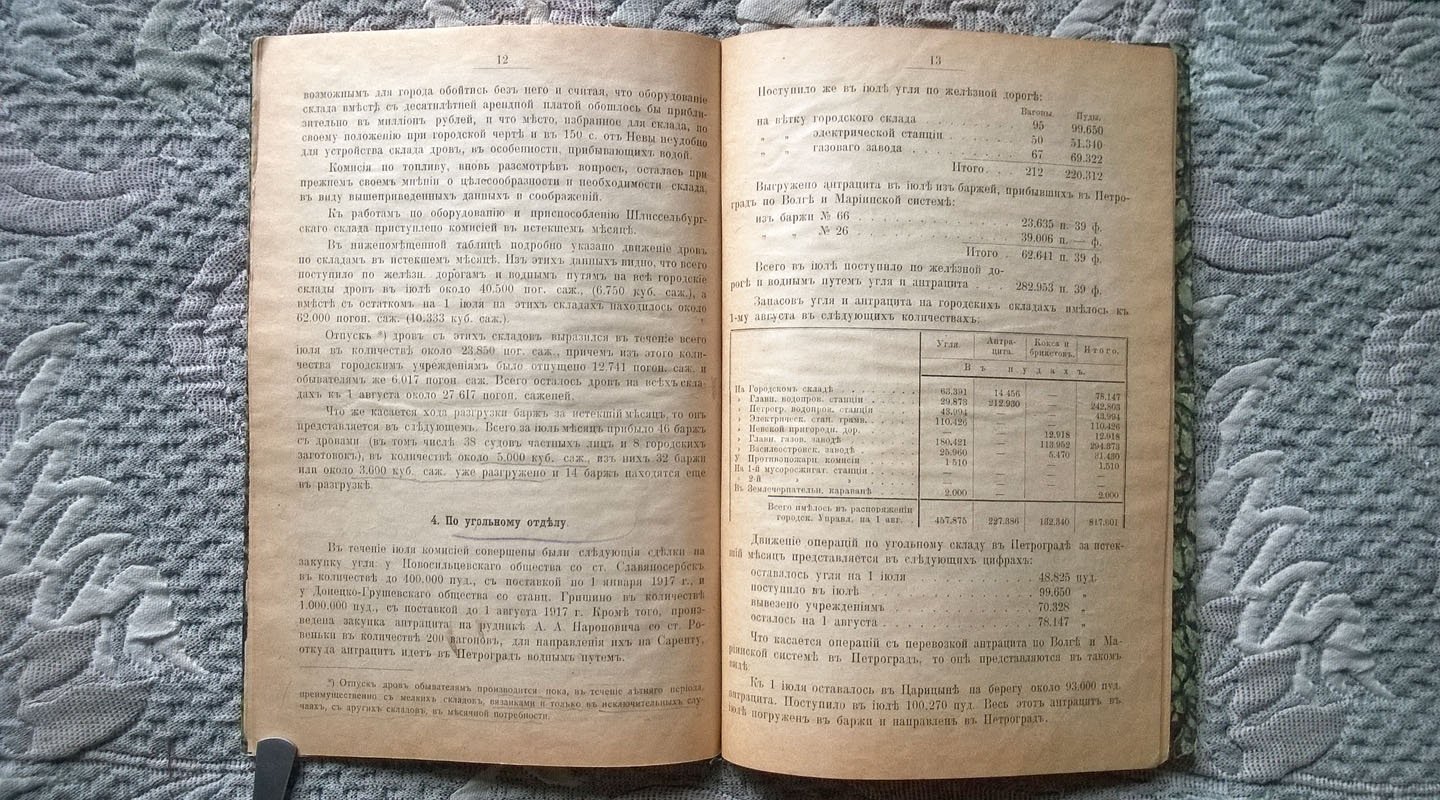 Петроградское городское общественное управление: Исполнительная комиссия по топливу: Справка о деятельности Комиссии с 1 июля по 1 августа 1916 г.