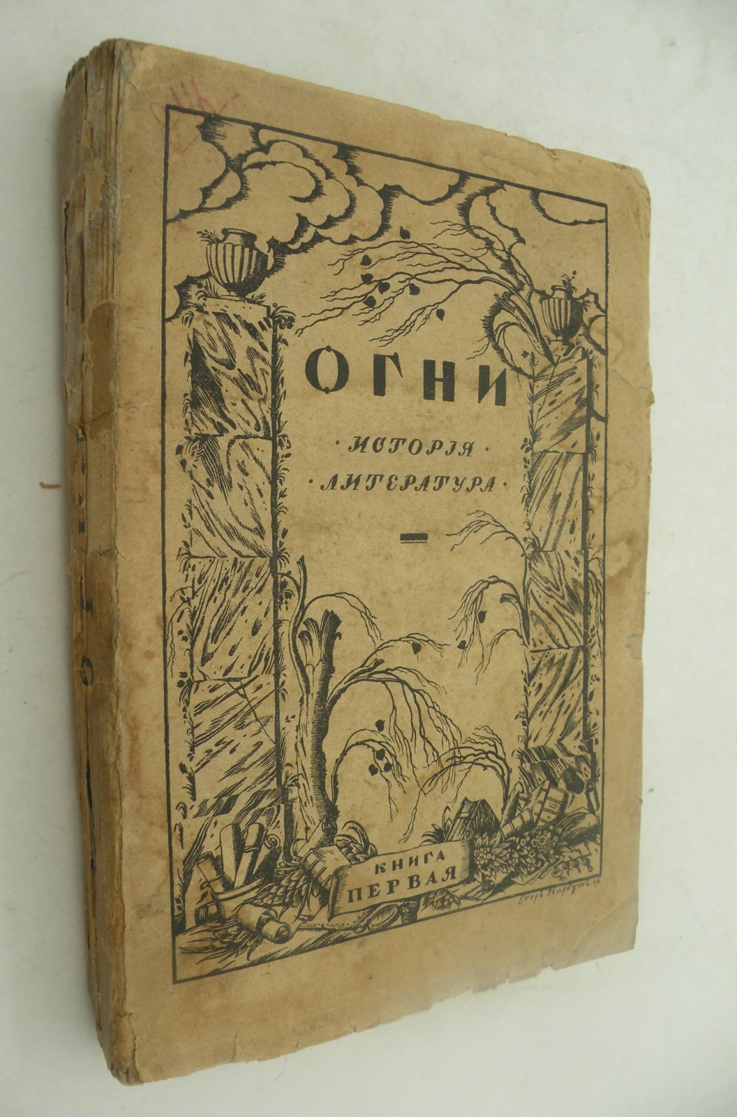 Огни. История. Литература. Книга первая.