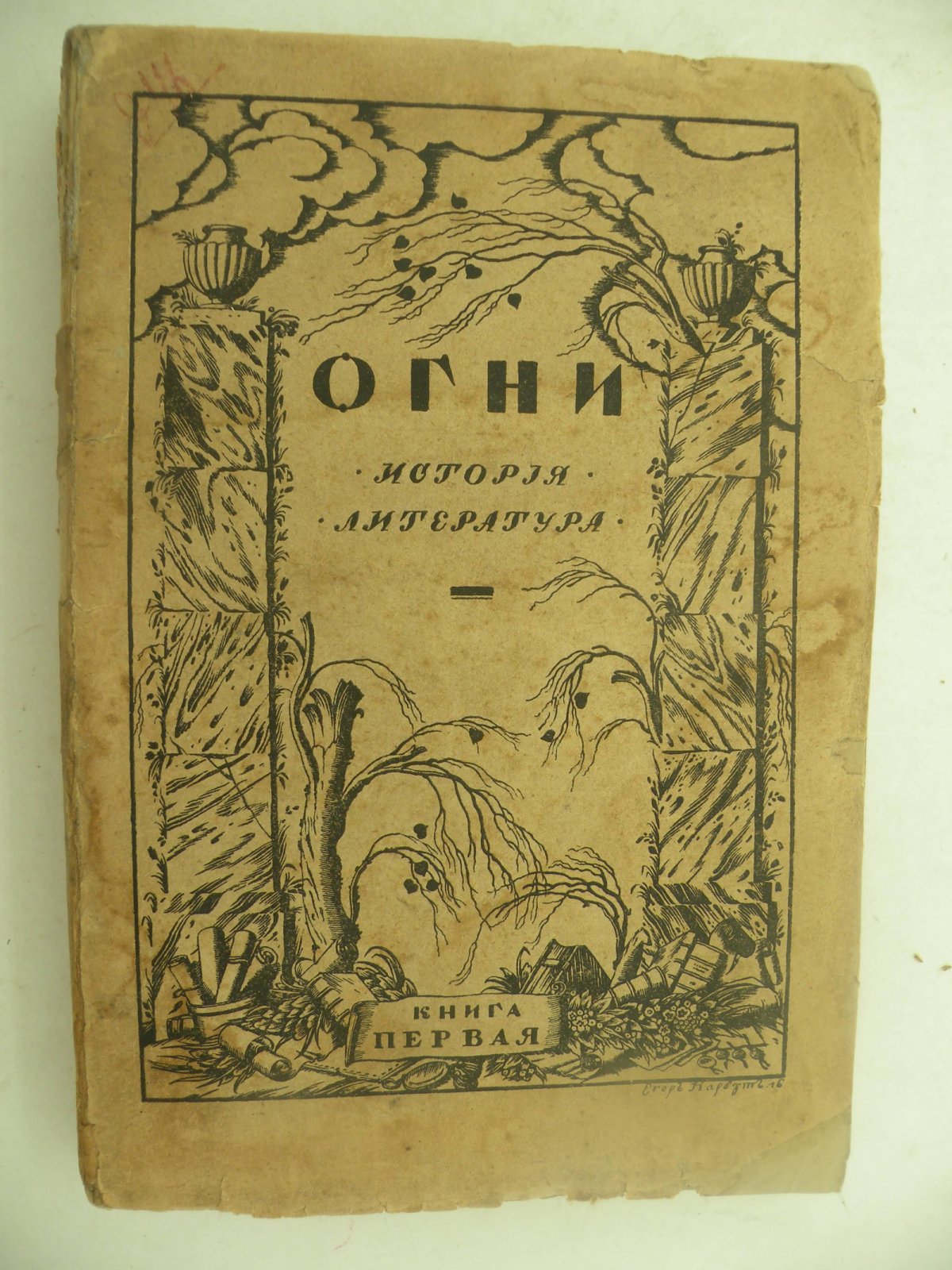 Огни. История. Литература. Книга первая.