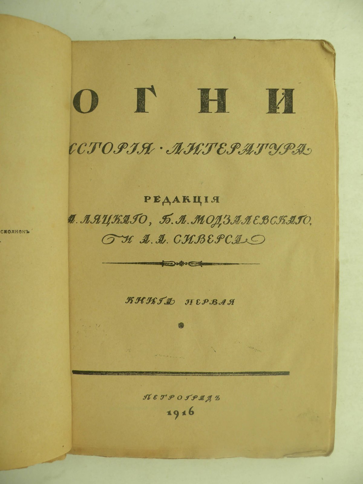 Огни. История. Литература. Книга первая.