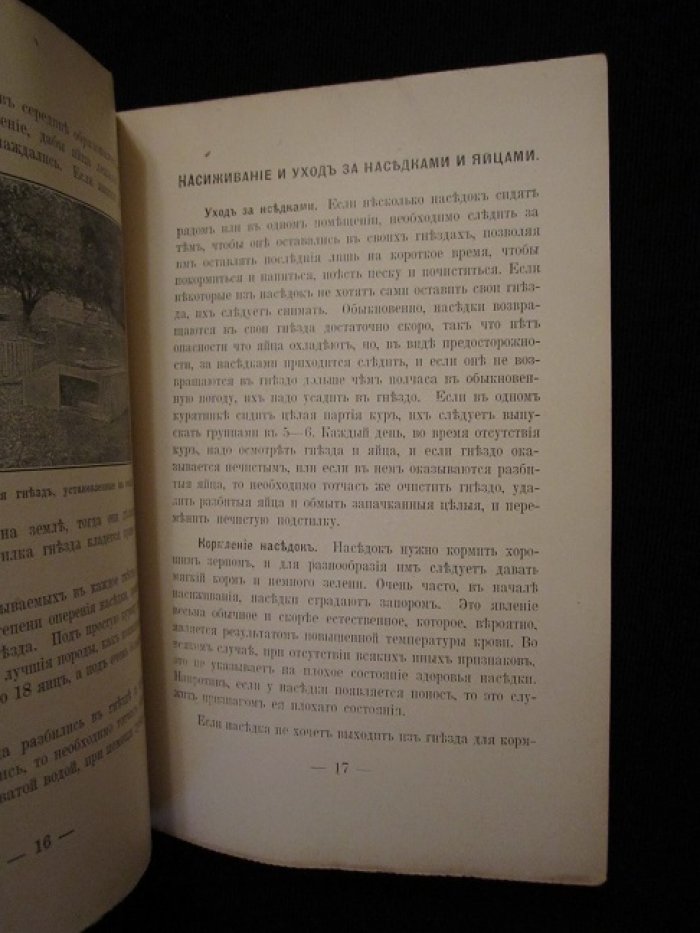 Птицеводство в Америке.