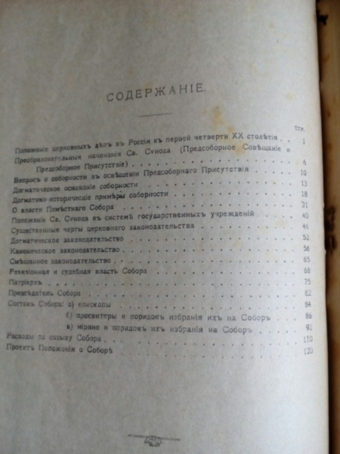 Осецкий А. Поместный собор. Свободный опыт организации.
